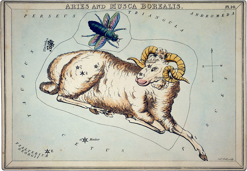 &laquo;Aries and Musco Borealis&raquo;, plate 16 in Urania’s Mirror, a set of celestial cards accompanied by A familiar treatise on astronomy … by Jehoshaphat Aspin. London. Astronomical chart showing a dog, a rabbit, Noah’s dove, and sculpting tools forming the constellations. 1 print on layered paper board : etching, hand-colored. This image is available from the United States Library of Congress’s Prints and Photographs division under the digital ID cph.3g10064.