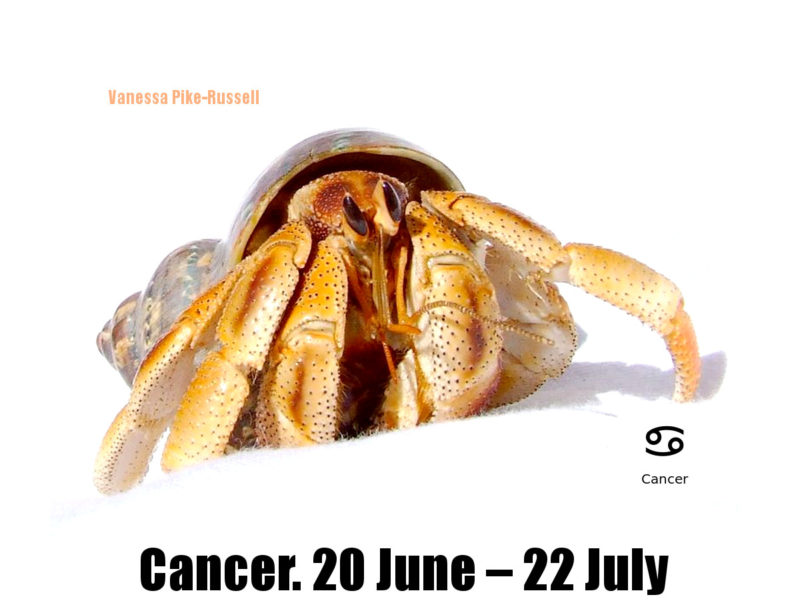 cancer-zodiac-wall