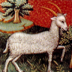 Steinbukken (Capricorn) 2013
