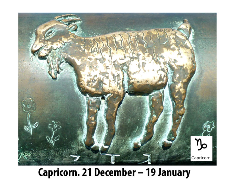 capriocorn-zodiac-wall
