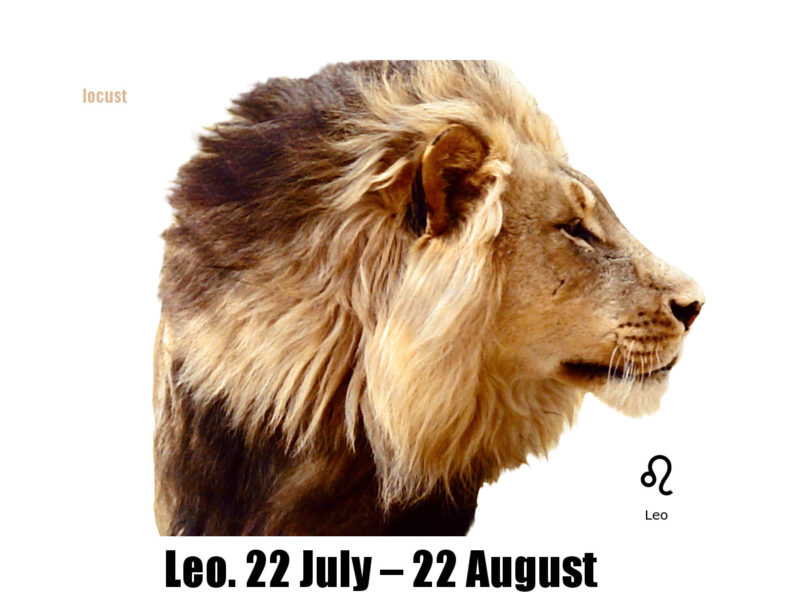 leo-zodiac-wall