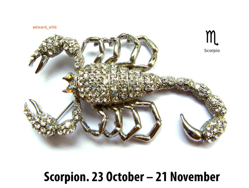 scorpio-zodiac-wall