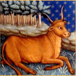 ?rshoroskopet Tyren (Taurus) 2013